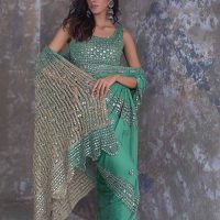 Mix weave Saree set