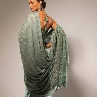 Classic Saree